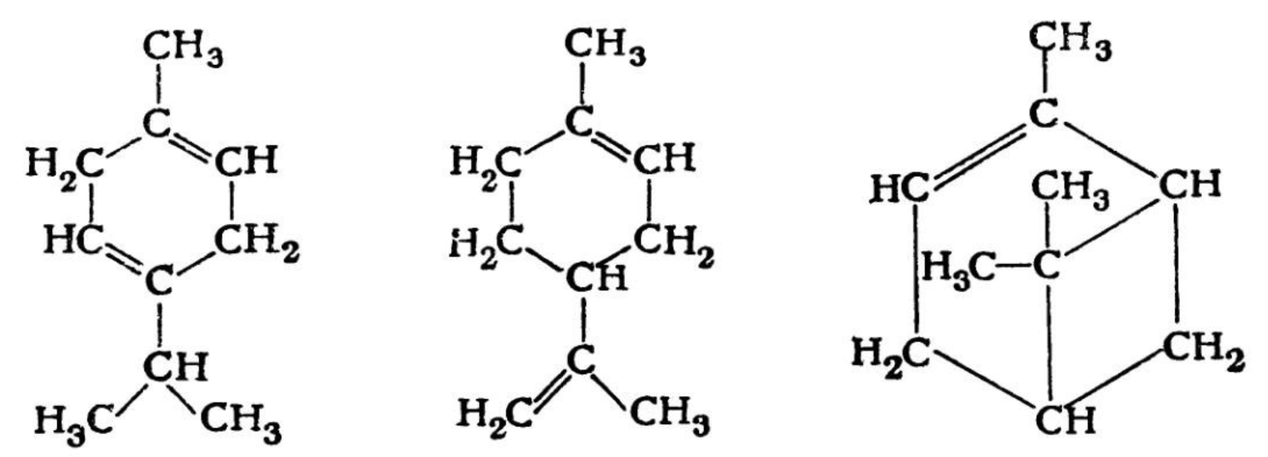 Zenidol Creme Terpene Formel